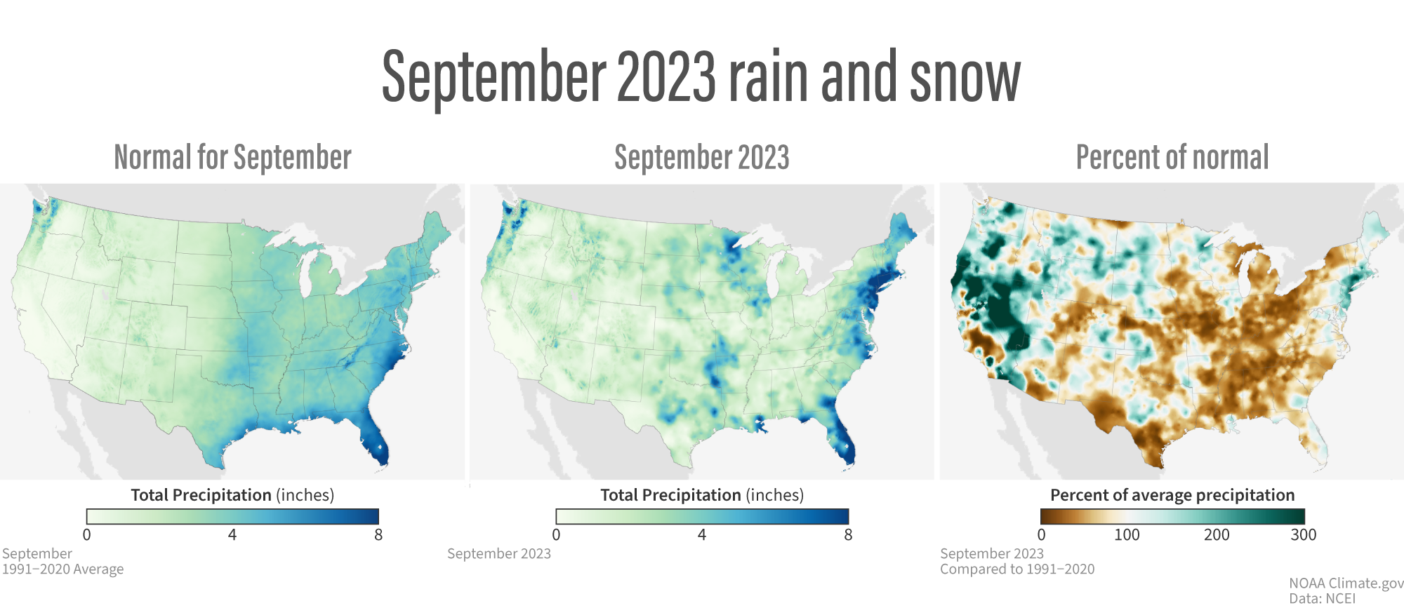 Rainiest states in the U.S. 2023