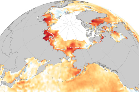 2019 Arctic Report Card: As sea ice disappears, Arctic seas are experiencing extreme summer warmth