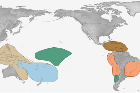 With El Niño likely, what climate impacts are favored for this summer?