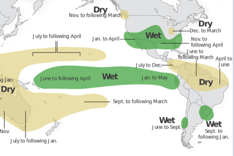 How ENSO leads to a cascade of global impacts 