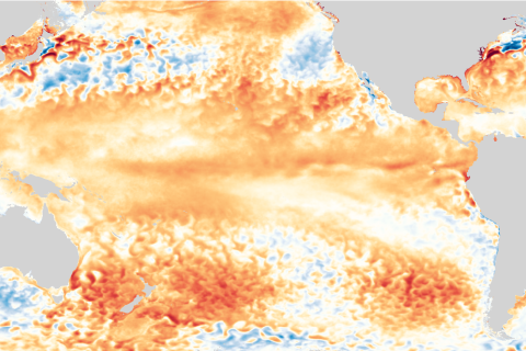ENSO forecast mash-ups: What’s the best way to combine human expertise with models?