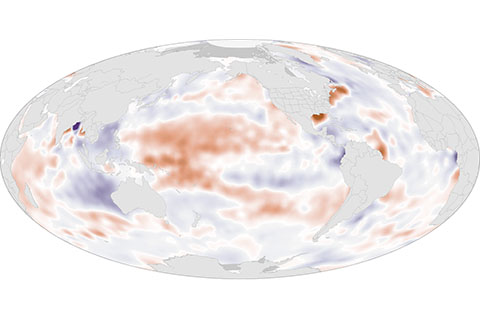 Shifting ocean surface saltiness from 2004-2013