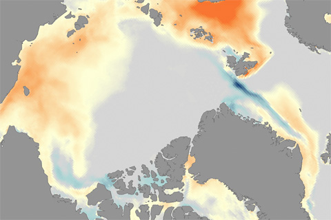 Sea Ice Declines Boost Arctic Phytoplankton Productivity 