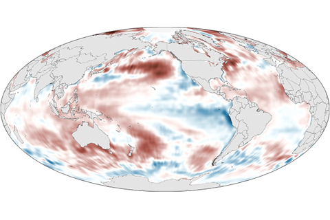 2013 State of the Climate: Sea surface temperature