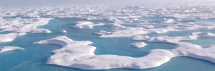 Arctic sea ice continues decline, reaches second-lowest level