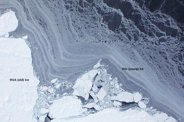 NASA photo of thinning Arctic Sea Ice. 