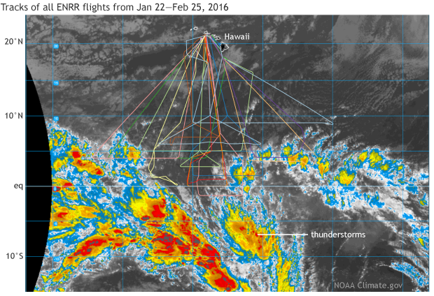 Image of tracks of all 23 research flights with the NOAA Gulfstream-IV aircraft out of Honolulu, Hawaii during the El Niño Rapid Response campaign from January - March 2016.