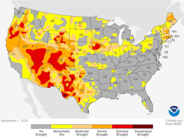 Map of rought conditions as of September 1, 2020, across the contiguous United States.