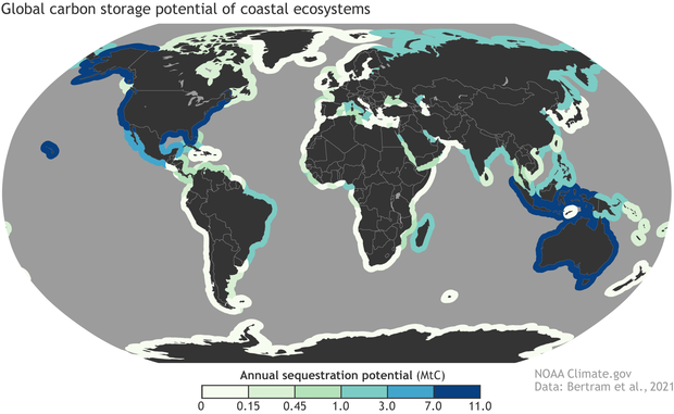 Map showing the estimated about of carbon that could be stored by coastal ecosystems worldwide