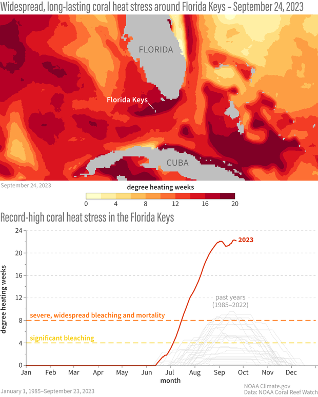 Florida heat stress map with graph of degree heating weeks
