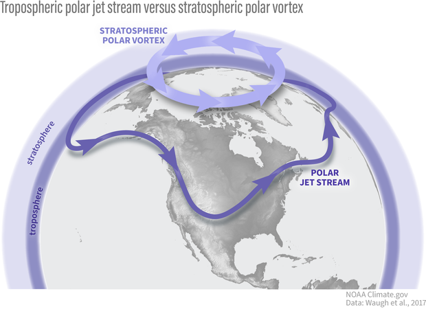Drawing comparing the location of the stratospheric polar vortex and the polar jet stream