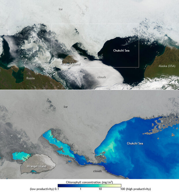 Natural- and false-color images of Chukchi Sea bloom