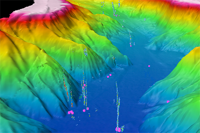 Seafloor mapping data reveal large number of gas seeps off U.S. West Coast