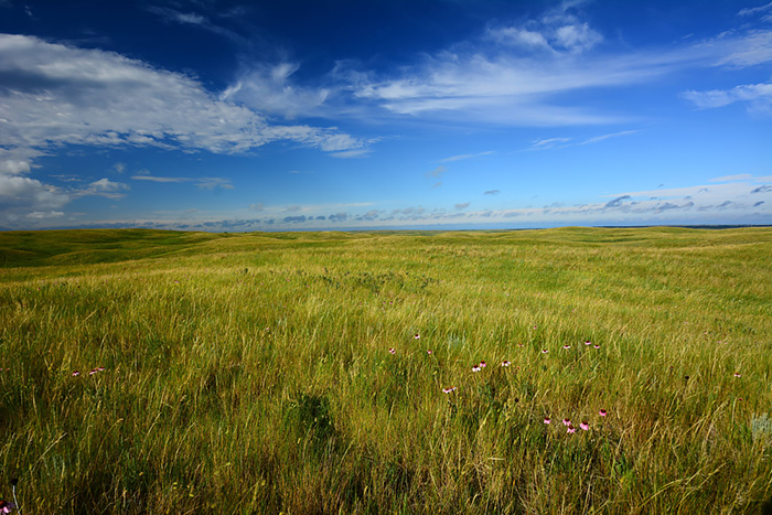 U.S. Climate Resilience Toolkit launches new section for the Northern Great Plains