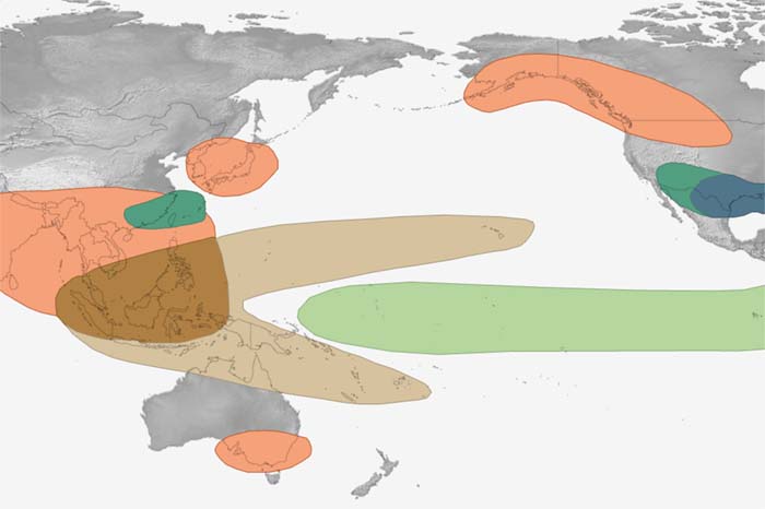 Global impacts of El Niño and La Niña