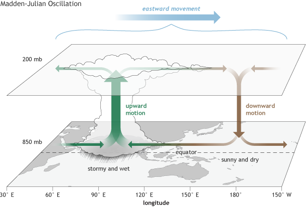 What is the MJO, and why do we care?