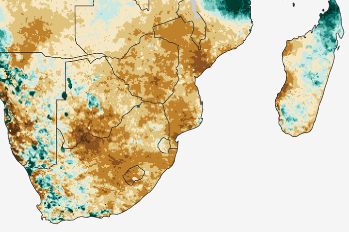 A not so rainy season: Drought in southern Africa in January 2016