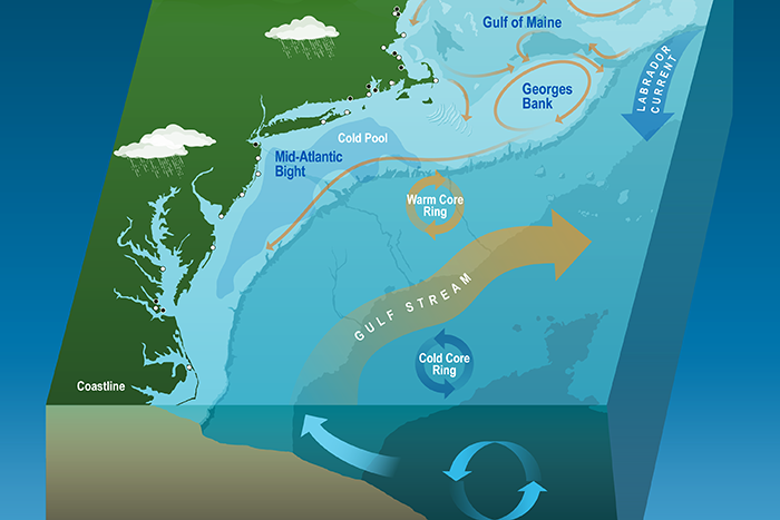 The first mixed layer depth climatology over the Northeast U. S. continental shelf