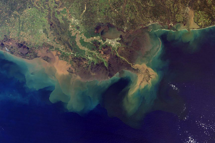 River runoff creates a buffer zone for ocean acidification in the Gulf of Mexico