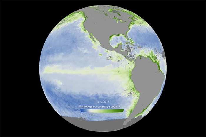 Oceanic and atmospheric drivers of post-El-Niño chlorophyll rebound in the equatorial Pacific