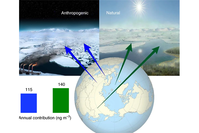 New research provides insight into the abundance of natural and anthropogenic organic aerosols in the Arctic