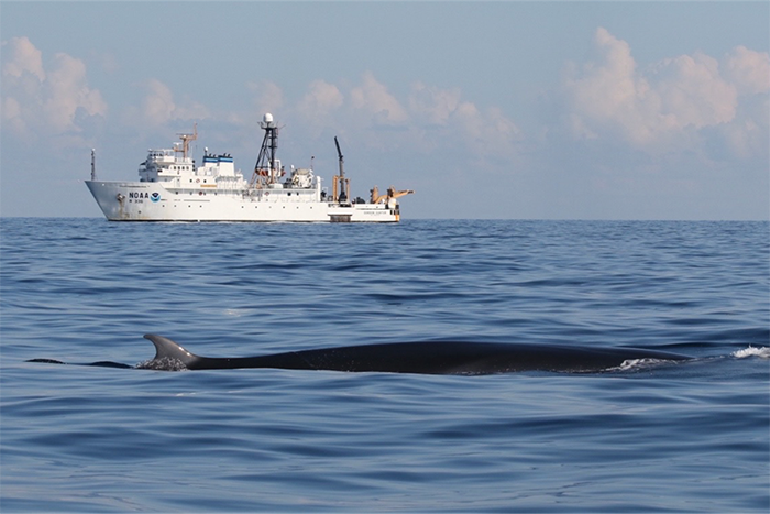 NOAA report highlights 2021 climate, weather, ocean research