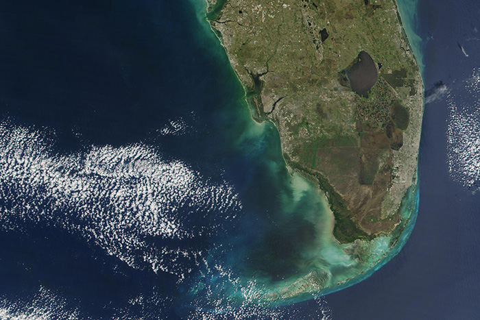 New study links red tides and dead zones off Florida's west coast