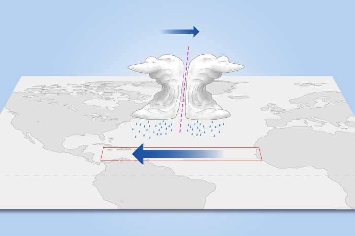 June 2022 ENSO update: how does your garden grow?