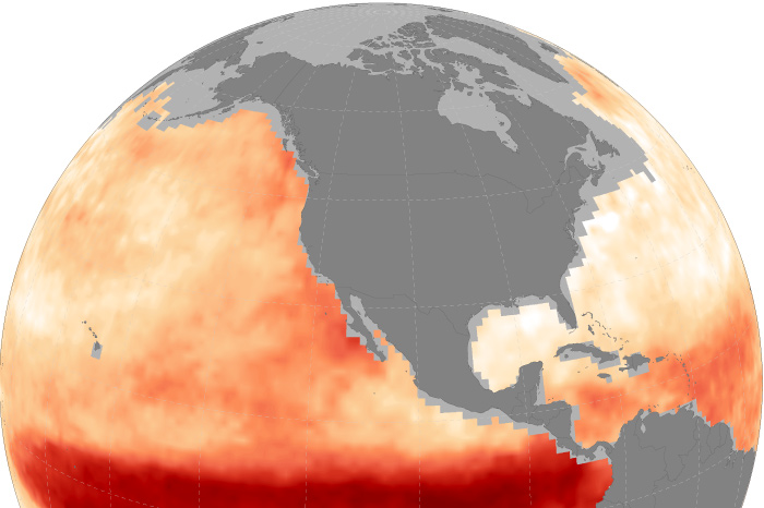 Today’s seasonal climate models can predict ocean heat waves months in advance
