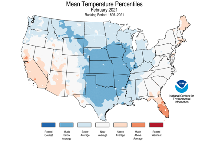 Impacts of the February 2021 South-Central US Arctic outbreak assessed