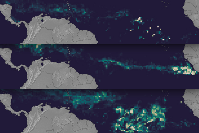 Massive bloom of seaweed in tropical Atlantic raises the risk for Caribbean, Gulf, and Florida beach impacts in coming months