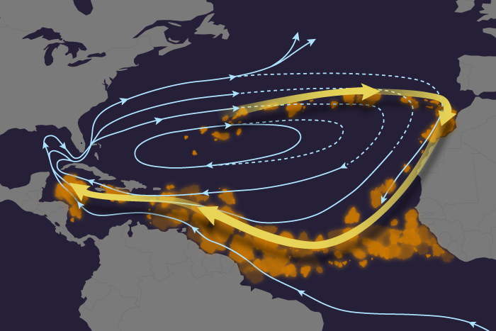 Extreme climate event in North Atlantic may have kicked off Sargassum explosion a decade ago