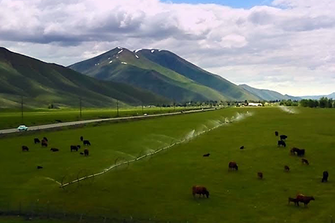 Scientists and growers work together to help preserve a region's farming heritage 