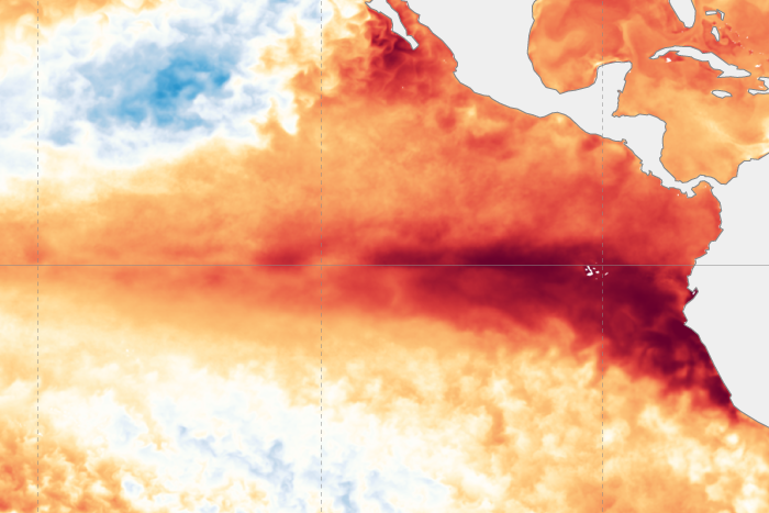 August 2023 El Niño update: back to school