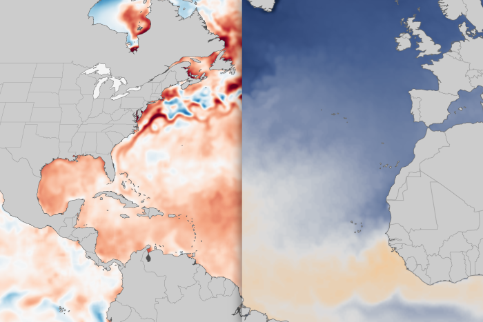 For more than a year, the North Atlantic has been running a fever