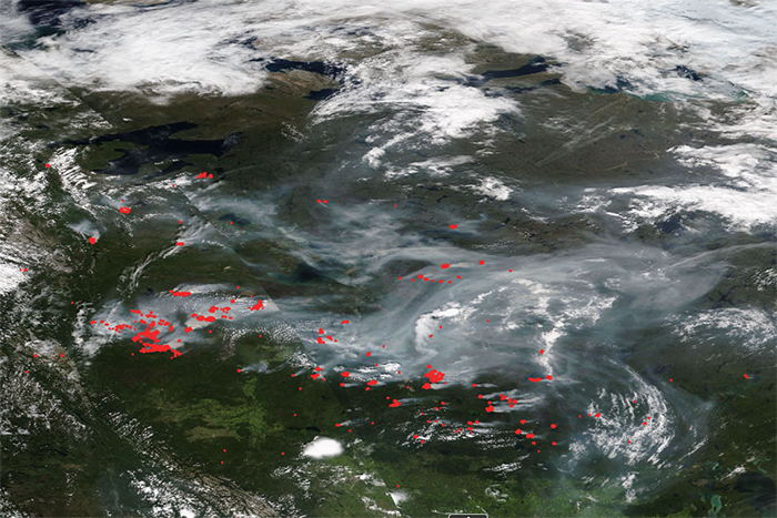 Contributions of Canadian wildfire plumes to US ozone air quality