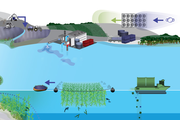 Carbon dioxide removal: NOAA State of the Science factsheet