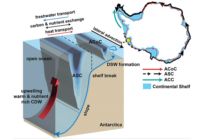 Importance of the Antarctic Slope Current in the Southern Ocean response to ice sheet melt and wind stress change