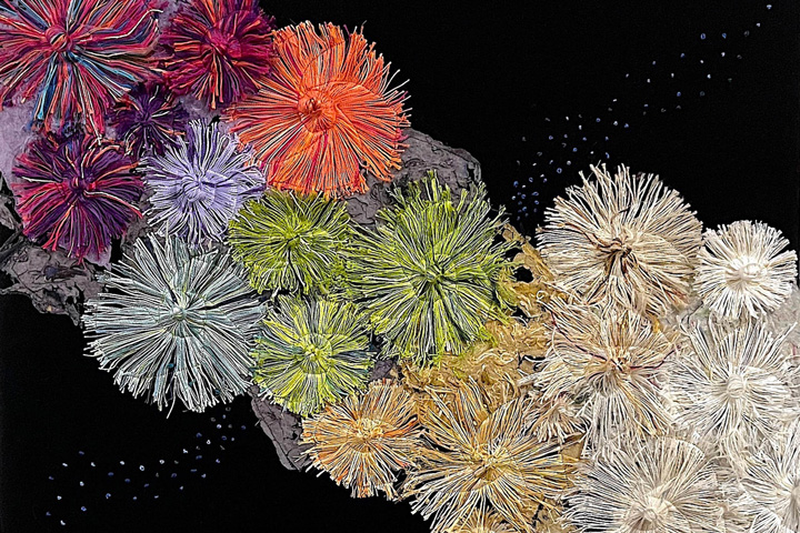 'Coral Conundrum: Dead or Alive' from the Art x Climate Gallery