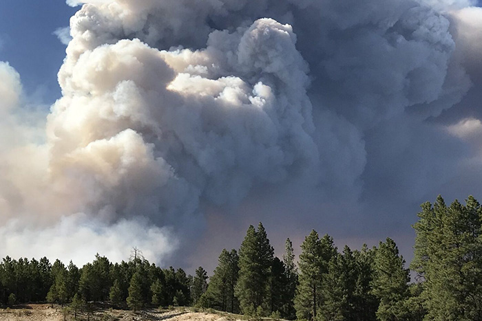 Fire severity rising despite lower frequency in the Southwestern U. S.