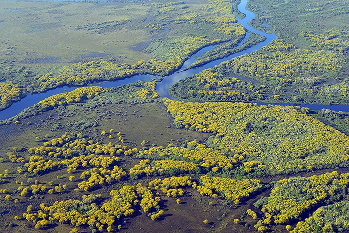 Microbes, not fossil fuels, are behind recent methane surge