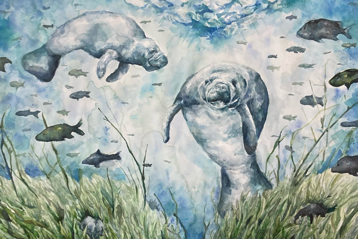 'Swimming with Manatees' from the Art x Climate Gallery