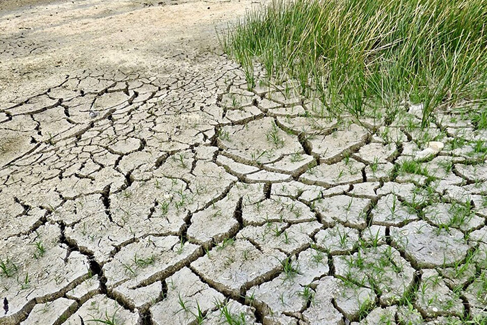 Mapping flash drought patterns across the U. S.