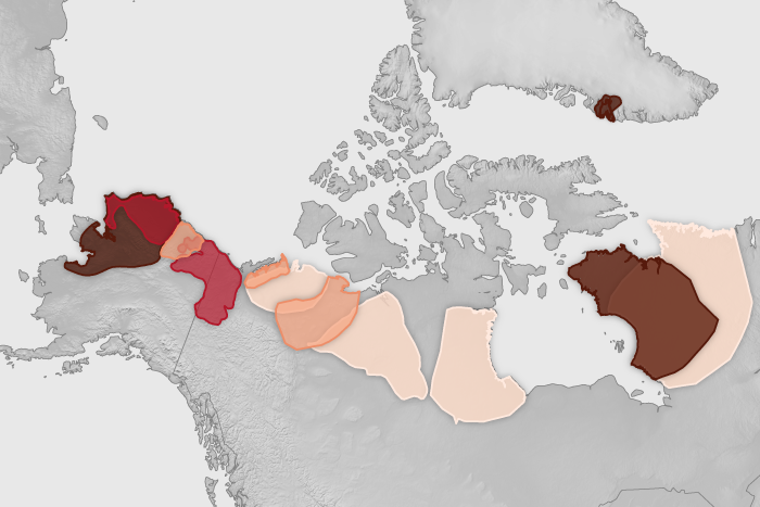 2024 Arctic Report Card: Migratory Arctic caribou populations have fallen by 65% 