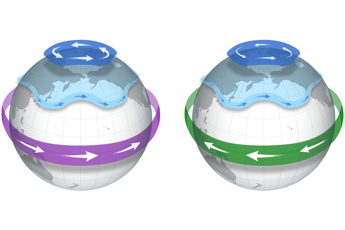 Predicting the chances of a polar vortex disruption this winter