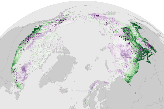 2024 Arctic Report Card: The Arctic tundra is now a net source of carbon dioxide