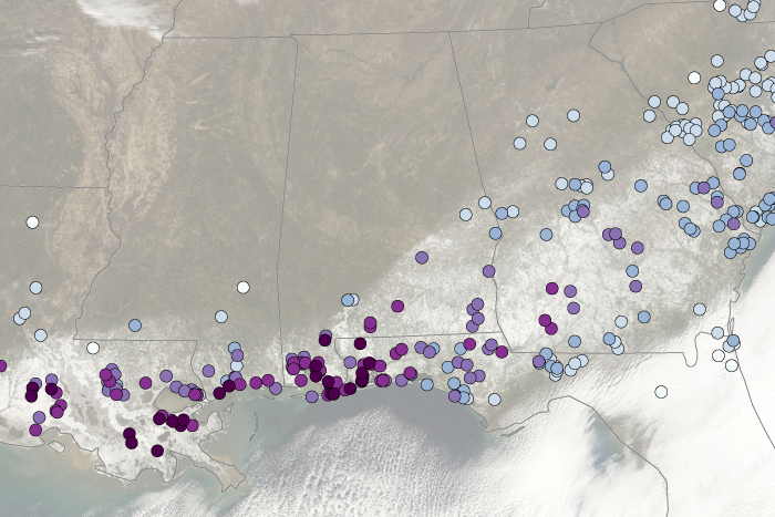 Historic January 2025 snowstorm in the Southern U. S.