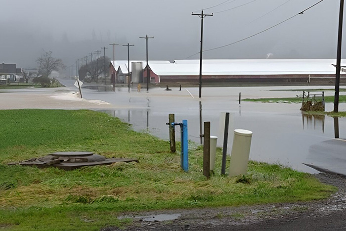 New study explores trust and community support for coastal flood mitigation