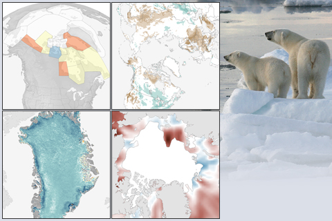 2014 Arctic Report Card: Visual Highlights