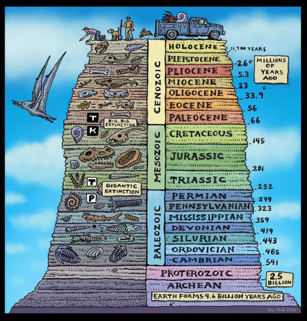 A cartoon drawing of geologic time as a butte, with the right hand side divided up by eons and periods, and the left-hand side showing fossils from those periods. 